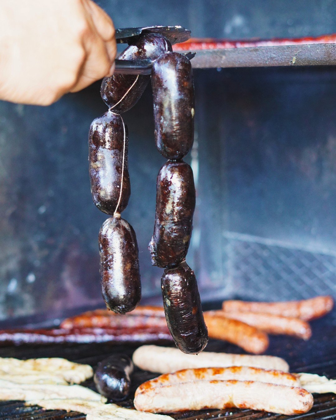 pinus-bar-sant-pere-de-ribes